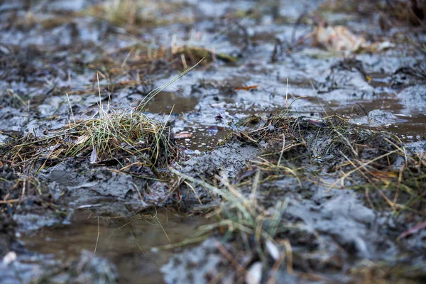 Dirt. őszi sár, pocsolyák, piszkos föld. — Stock Fotó