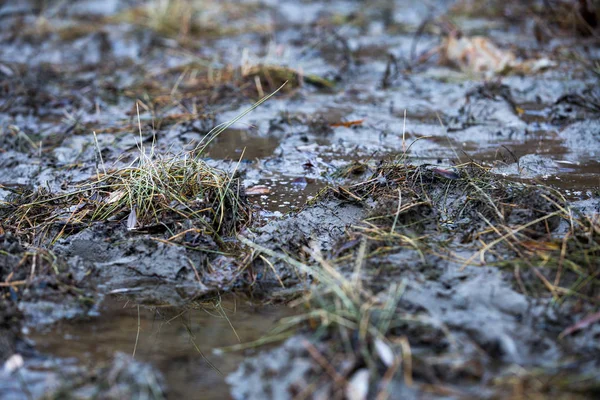 Schmutz. Herbstschlamm, Pfützen, dreckiger Boden. — Stockfoto