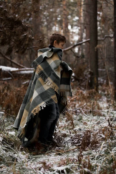 Один мальчик в клетке гуляет по снегу в осеннем лесу. alone i — стоковое фото