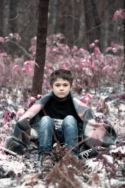 Um menino em xadrez caminha na neve na floresta de outono. sozinho i — Fotografia de Stock