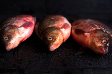 taze balık sazan ve sadece ahşap yüzeyde yakalanan sazan. 