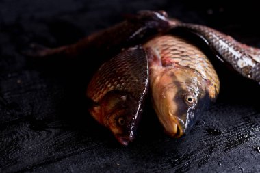 taze balık sazan ve sadece ahşap yüzeyde yakalanan sazan. 