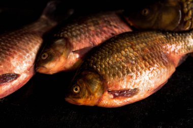 taze balık sazan ve sadece ahşap yüzeyde yakalanan sazan. 