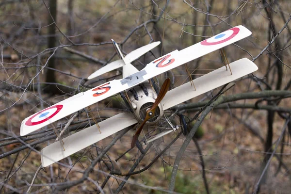 おもちゃのレトロな飛行機が木の秋の枝に巻き込ま. — ストック写真
