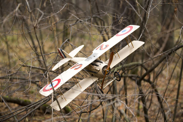toy retro plane got caught up in the autumn branches of a tree. 