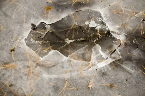 Ghiaccio tritato in una foresta, stagno ghiacciato, crosta di ghiaccio . — Foto Stock