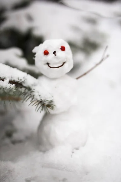 Muñeco de nieve en un bosque de invierno - entretenimiento navideño — Foto de Stock