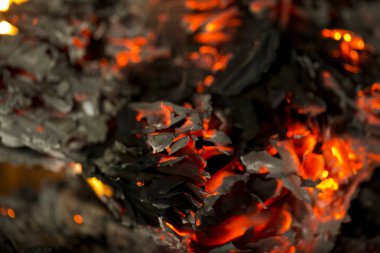 yanan kağıt şömine yangında yanan külleri. 