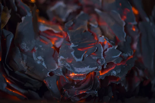 Пылающий пепел, горящая бумага в огне камина . — стоковое фото