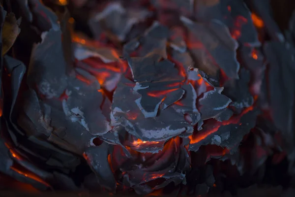 Cenizas quemadas, papel quemado en el fuego de la chimenea . —  Fotos de Stock