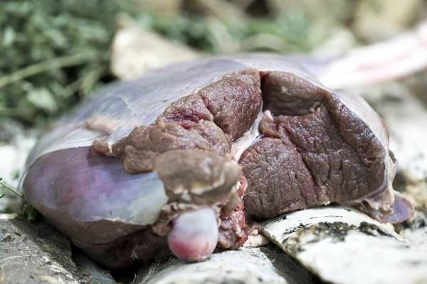 Frisches Wildfleisch Nach Der Jagd — Stockfoto