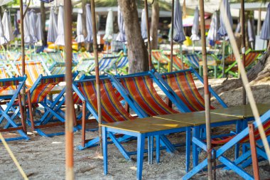 Tayland 'da kumsalda güneşlenirler