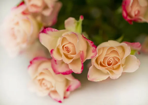 bouquet of tea roses close-up