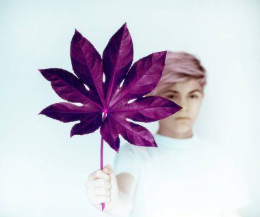 Genç bir çocuk, önünde bir ağaçtan büyük bir yaprak tutuyor.