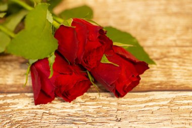 kırmızı güller ahşap bir masa yüzeyine kapanıyor.