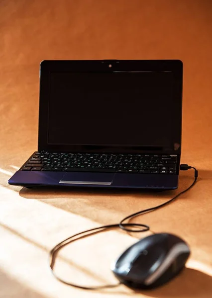 Rato de computador marrom e laptop — Fotografia de Stock