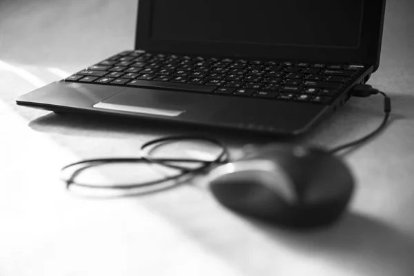 Μαύρο και άσπρο ποντίκι υπολογιστή και φορητό υπολογιστή — Φωτογραφία Αρχείου