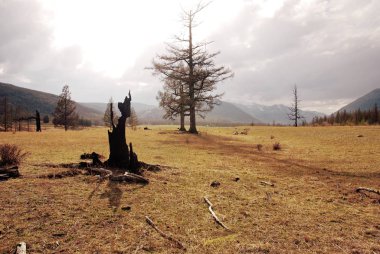 Vadideki yangının etkileri.