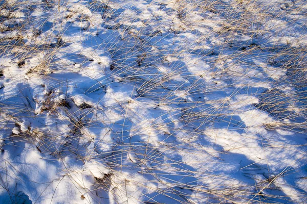 Grote achtergrond van droog gras in de sneeuw — Stockfoto