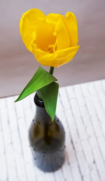 Tulipano Giallo Una Bottiglia Sul Tavolo Vista Dall Alto — Foto Stock