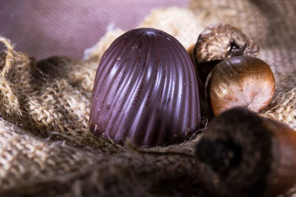 Schokoladenbonbons Mit Nüssen Auf Klette Der Sonne Zurückhaltend — Stockfoto
