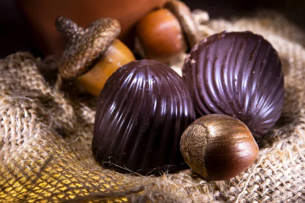 Schokoladenbonbons Mit Nüssen Auf Klette Der Sonne Zurückhaltend — Stockfoto