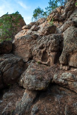 Mavi gökyüzünde dikey olarak ağaçlarla çevrili kayalar.