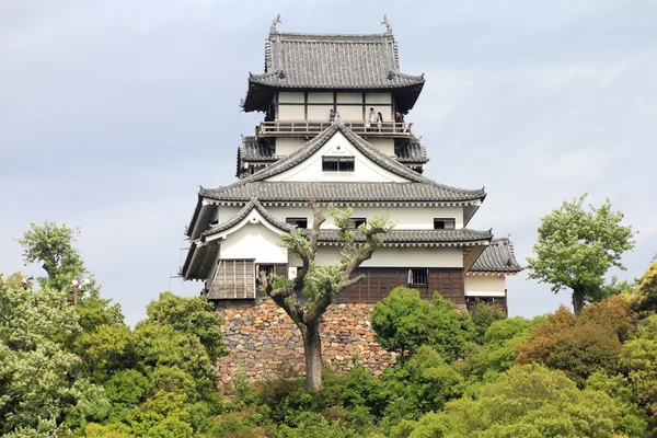 Japanese castle view — Stock Photo, Image