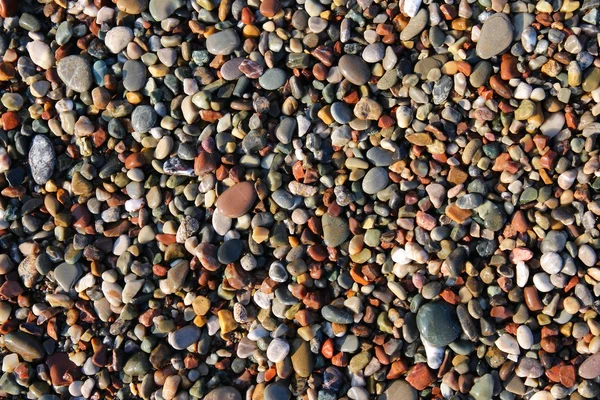 Pebbles beach Cyprus — Stockfoto