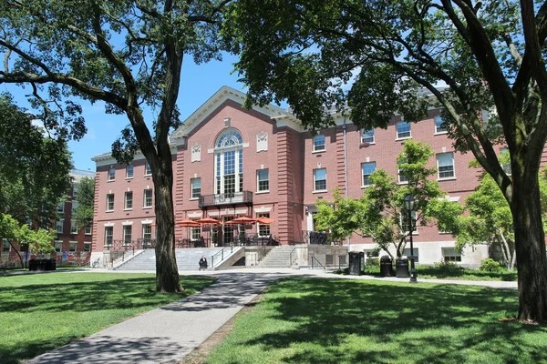 Ivy League - brązowy Uni — Zdjęcie stockowe