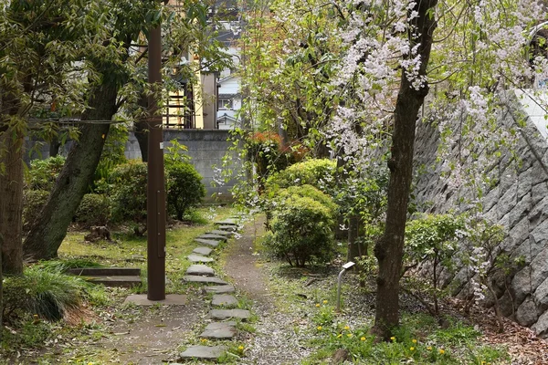 Parque de Tokio en Japón — Foto de Stock