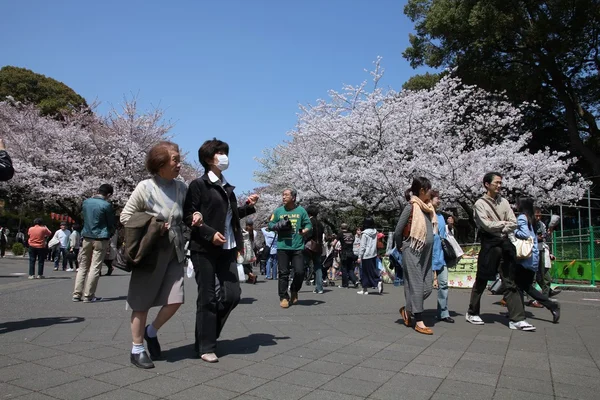 Parc de Tokyo au Japon — Photo