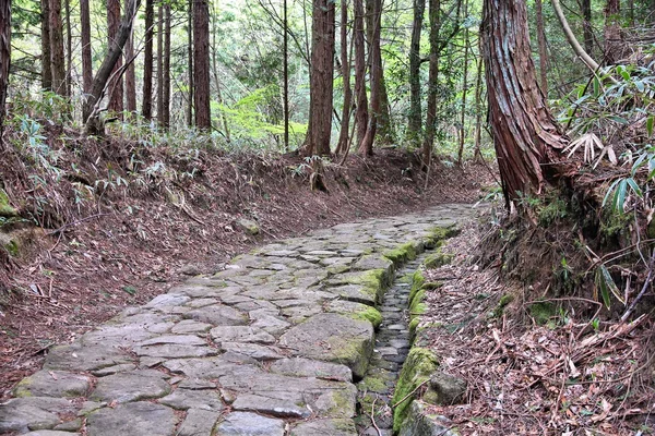 Giappone - Percorso Nakasendo — Foto Stock