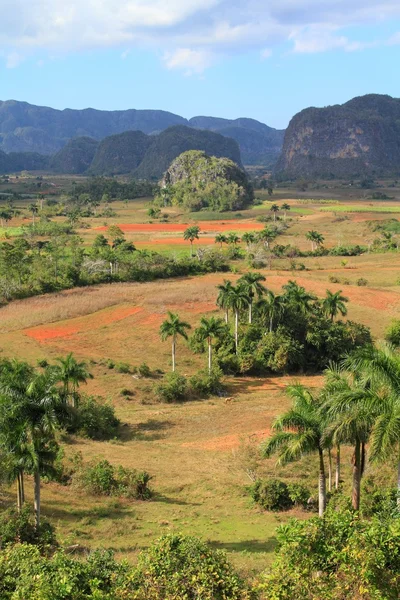 Vinales Milli Parkı — Stok fotoğraf