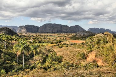 Vinales, Cuba nature clipart