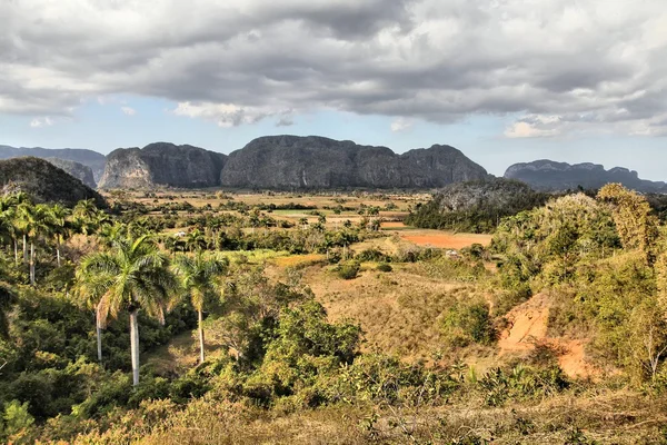 Natura Vinales, Kuba — Zdjęcie stockowe