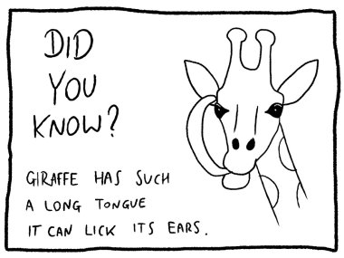 Zürafa aslında - fun trivia çizgi