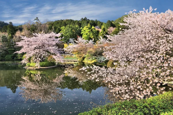 Kyoto - Ryoanji tuinen — Stockfoto