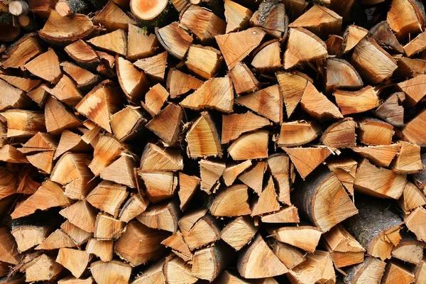 Firewood stack pile — Stock Photo, Image