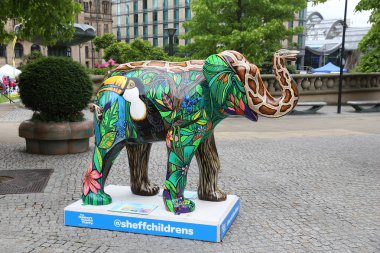 Sheffield fil, Amerika Birleşik Devletleri