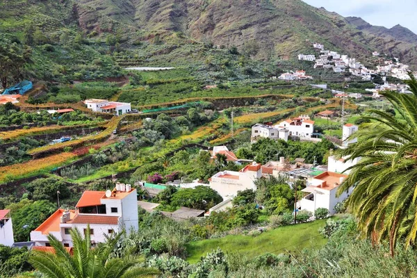 Los Berrazales, Gran Canaria —  Fotos de Stock