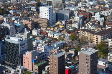 Tokyo, Japonya şehir