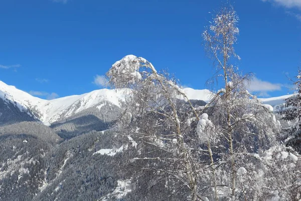 Österrike vinterlandskap — Stockfoto