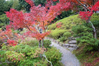 Japon bahçe içinde nara