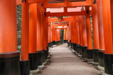 Kyoto 'daki Torii kapıları