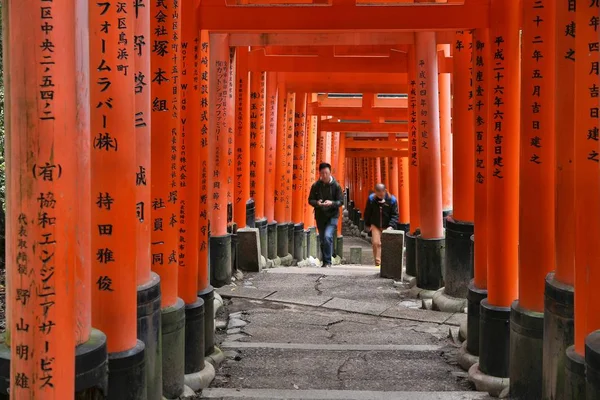 Torii gates Japonya'da — Stok fotoğraf