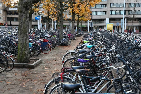 Niederländische Fahrräder in Eindhoven — Stockfoto