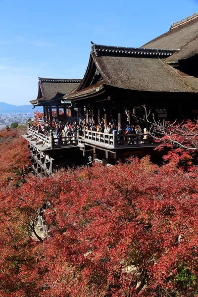 요미, 일본 교토 — 스톡 사진