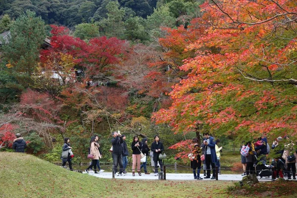 Το φθινόπωρο του Κιότο, Ιαπωνία — Φωτογραφία Αρχείου