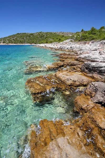 Croacia naturaleza - Mar Adriático —  Fotos de Stock